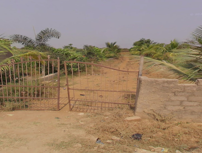  2 Acre Agricultural/Farm Land for Sale in Shadnagar, Hyderabad