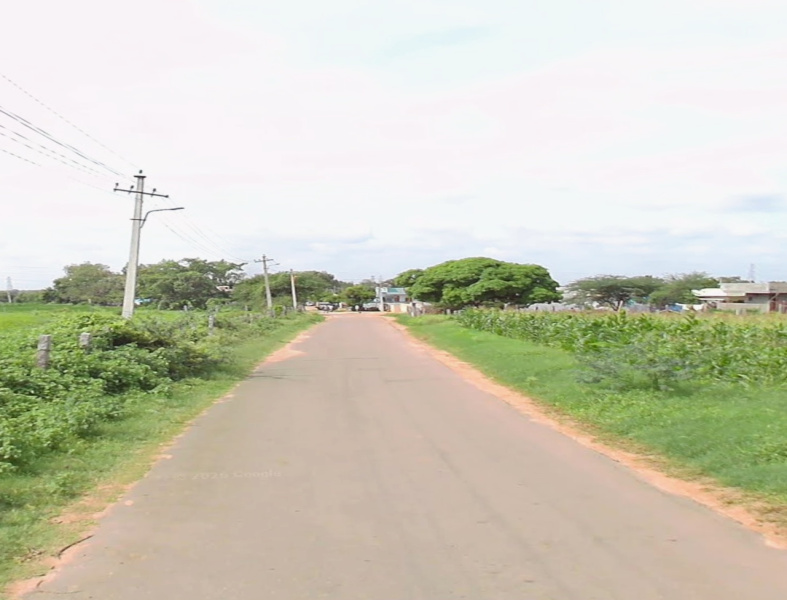  32 Guntha Agricultural/Farm Land for Sale in Shadnagar, Hyderabad