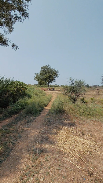  1 Acre Agricultural/Farm Land for Sale in Shamshabad, Hyderabad