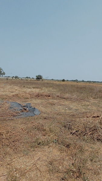  1 Acre Agricultural/Farm Land for Sale in Shamshabad, Hyderabad