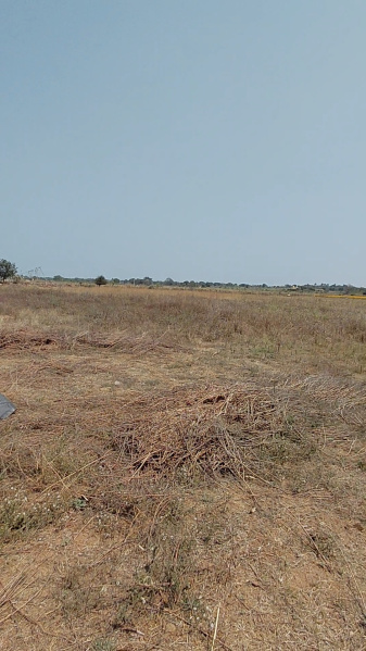  1 Acre Agricultural/Farm Land for Sale in Shamshabad, Hyderabad