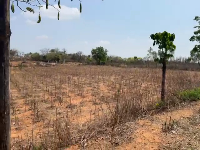  1 Acre Agricultural/Farm Land for Sale in Shadnagar, Hyderabad