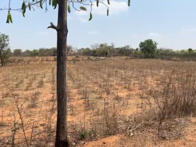  1 Acre Agricultural/Farm Land for Sale in Shadnagar, Hyderabad