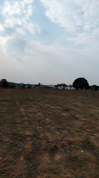  100 Acre Agricultural/Farm Land for Sale in Shadnagar, Hyderabad