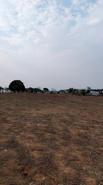  100 Acre Agricultural/Farm Land for Sale in Shadnagar, Hyderabad