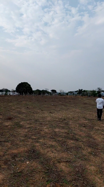  100 Acre Agricultural/Farm Land for Sale in Shadnagar, Hyderabad