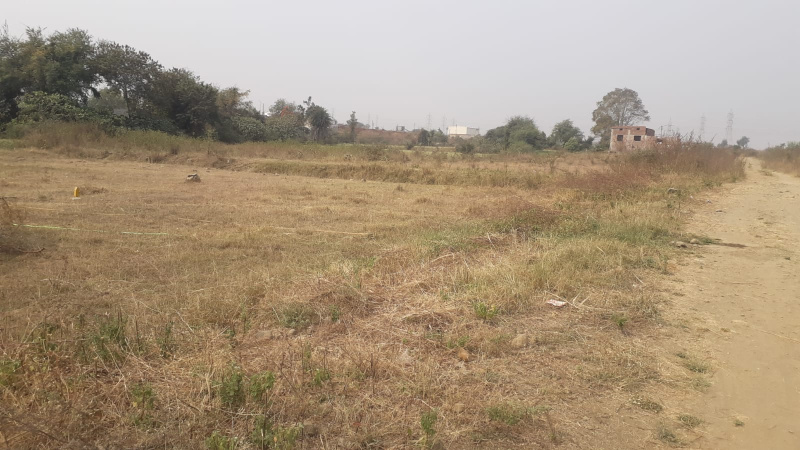  Agricultural Land 155 Sq.ft. for Sale in Lava, Nagpur