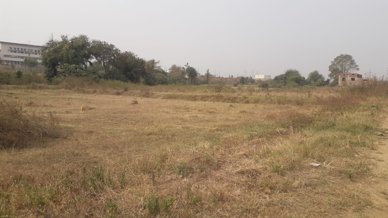  Agricultural Land 155 Sq.ft. for Sale in Lava, Nagpur