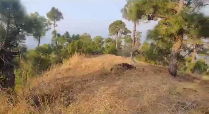  Residential Plot 240 Sq. Yards for Sale in Ranikhet, Almora
