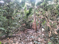  Residential Plot for Sale in Vaikom, Kottayam