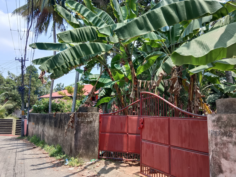  Residential Plot 17 Cent for Sale in Muttada, Thiruvananthapuram