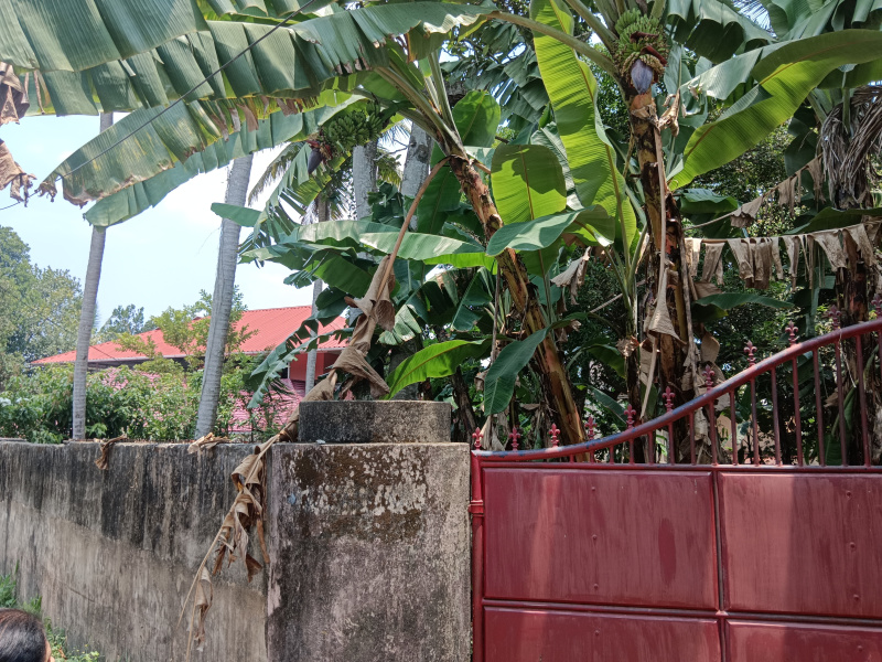  Residential Plot 17 Cent for Sale in Muttada, Thiruvananthapuram
