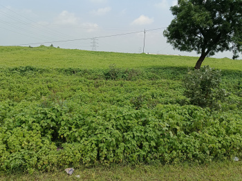  Agricultural Land for Sale in Maheshwar, Khargone