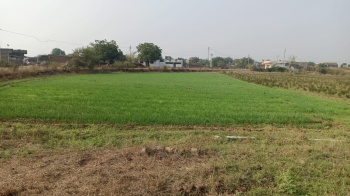  Agricultural Land for Sale in Mundi, Khandwa