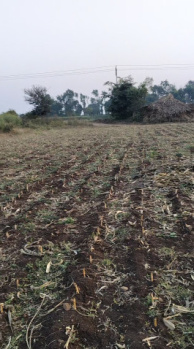  Agricultural Land for Sale in Bhikangaon, Khargone