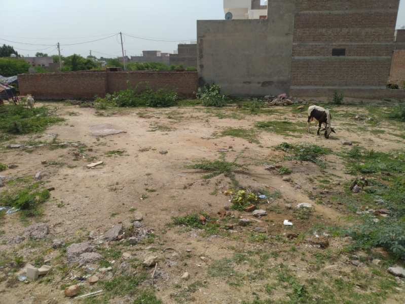 Commercial Shop 900 Sq.ft. for Rent in Khajuwala, Bikaner