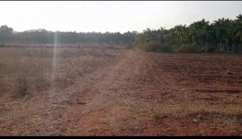  Agricultural Land for Sale in Honnali, Davanagere