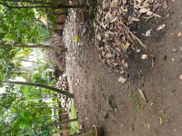  Residential Plot for Sale in Kumarapuram, Thiruvananthapuram