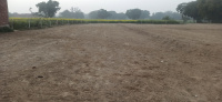  Residential Plot for Sale in Gangaghat, Unnao