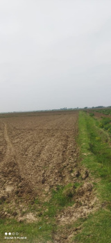  Agricultural Land for Sale in Ongole, Prakasam