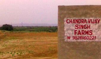  Agricultural Land for Rent in Jamwa Ramgarh, Jaipur