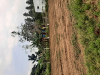  Residential Plot for Sale in Alanganallur, Madurai