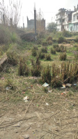  Residential Plot for Sale in Shuklaganj, Unnao