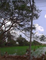 Agricultural Land for Sale in Bahour, Pondicherry