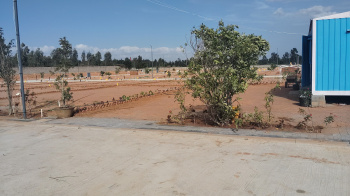  Residential Plot for Sale in Chikka Tirupathi, Bangalore