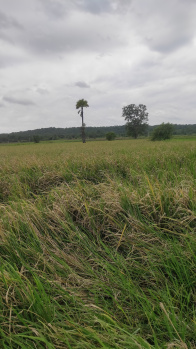  Agricultural Land for Sale in Venkatapur, Mulugu