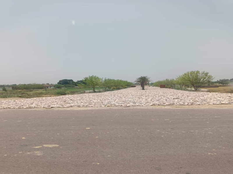  Residential Plot 1000 Sq.ft. for Sale in Kanpur Road, Lucknow