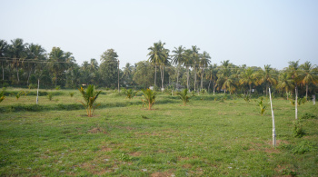  Agricultural Land for Sale in Chittur, Palakkad