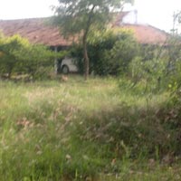  Agricultural Land for Sale in Palani, Dindigul