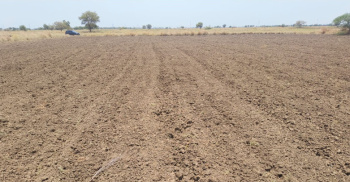  Industrial Land for Sale in Bavla, Ahmedabad