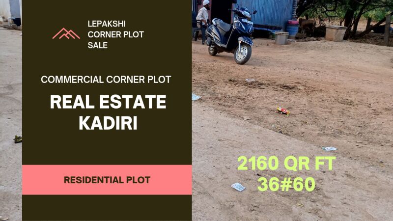 Residential Plot 2160 Sq.ft. for Sale in Kadiri, Anantapur