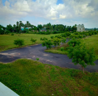  Agricultural Land for Sale in Ponneri, Thiruvallur