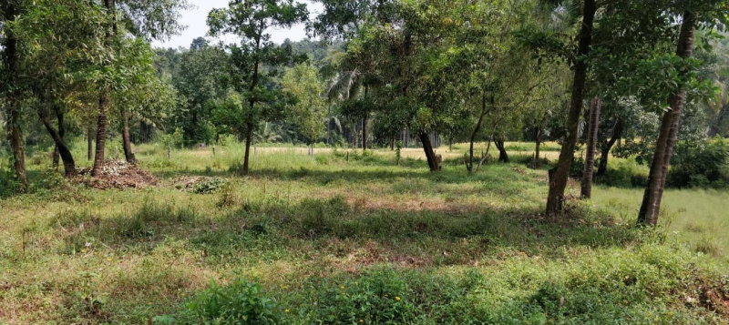  Residential Plot 8711 Sq.ft. for Sale in Ujire, Mangalore