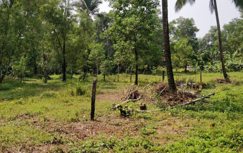  Residential Plot 8711 Sq.ft. for Sale in Ujire, Mangalore