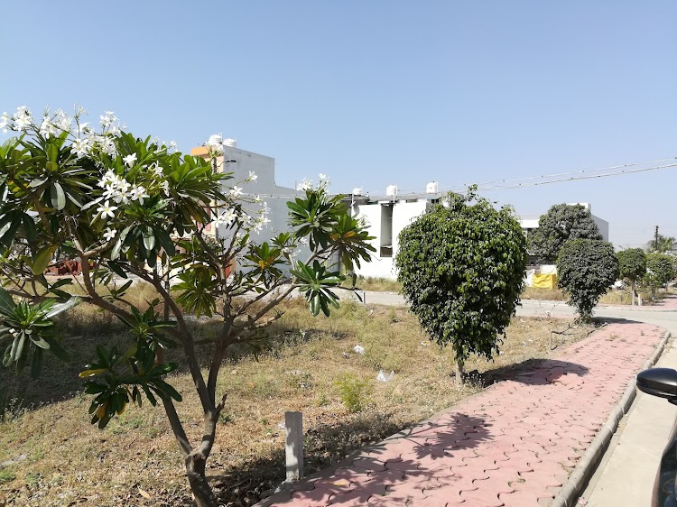  Residential Plot 1500 Sq.ft. for Sale in Gandhi Nagar, Indore