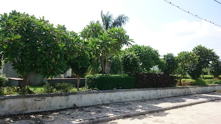  Residential Plot 1500 Sq.ft. for Sale in Gandhi Nagar, Indore