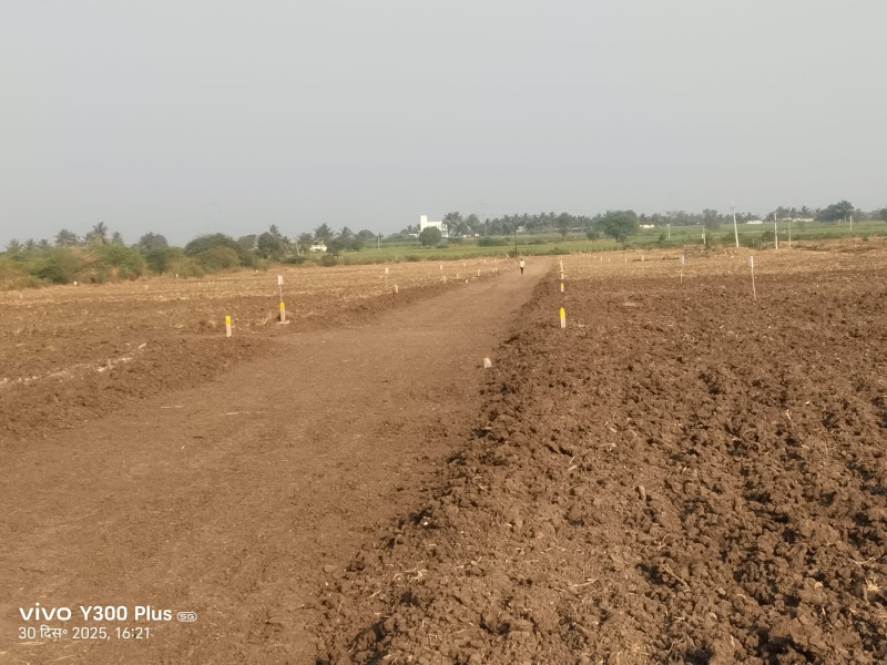  11000 Sq.ft. Residential Plot for Sale in Wagholi, Pune