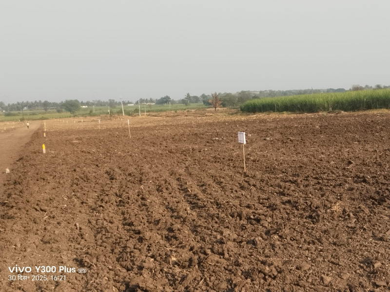  11000 Sq.ft. Residential Plot for Sale in Wagholi, Pune