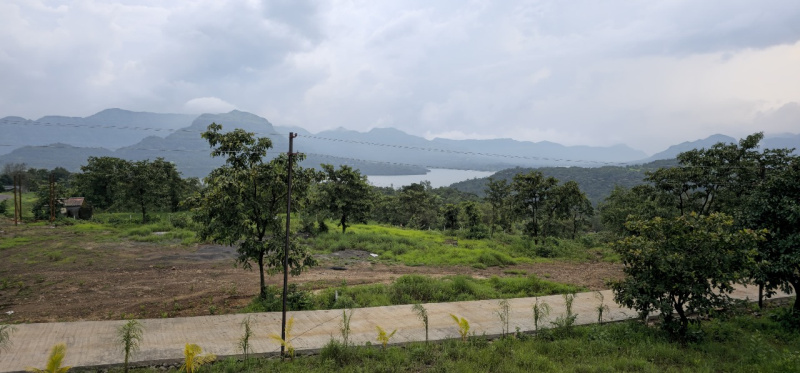  11000 Sq.ft. Residential Plot for Sale in Mulshi, Pune