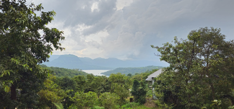  11000 Sq.ft. Residential Plot for Sale in Mulshi, Pune