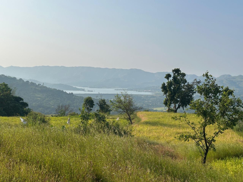  1 Acre Residential Plot for Sale in Velhe, Pune