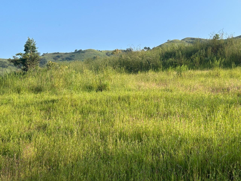  1 Acre Residential Plot for Sale in Velhe, Pune