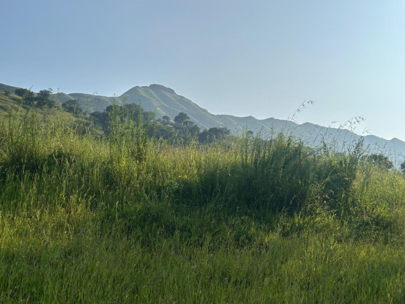  1 Acre Residential Plot for Sale in Velhe, Pune