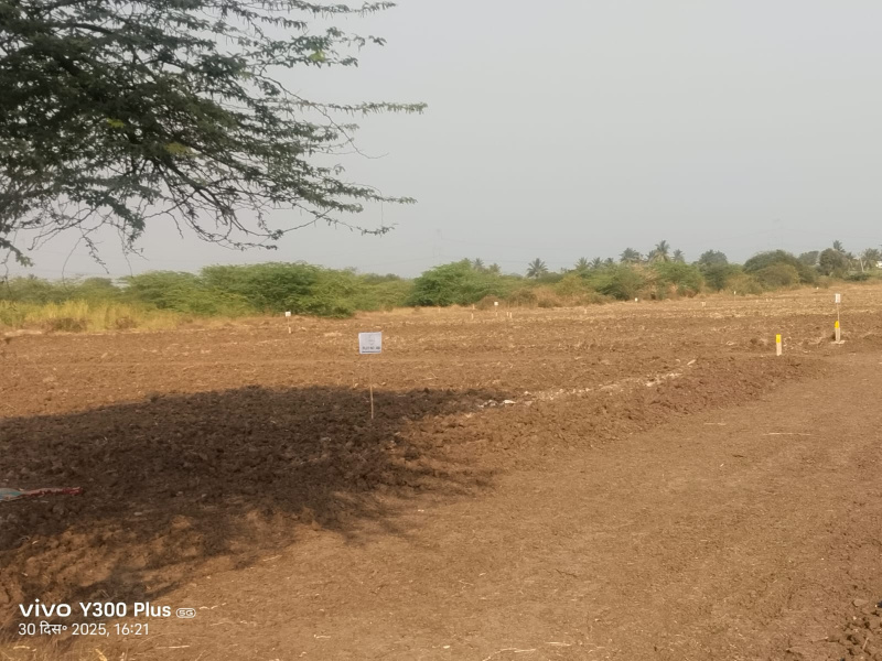  11000 Sq.ft. Residential Plot for Sale in Wagholi, Pune