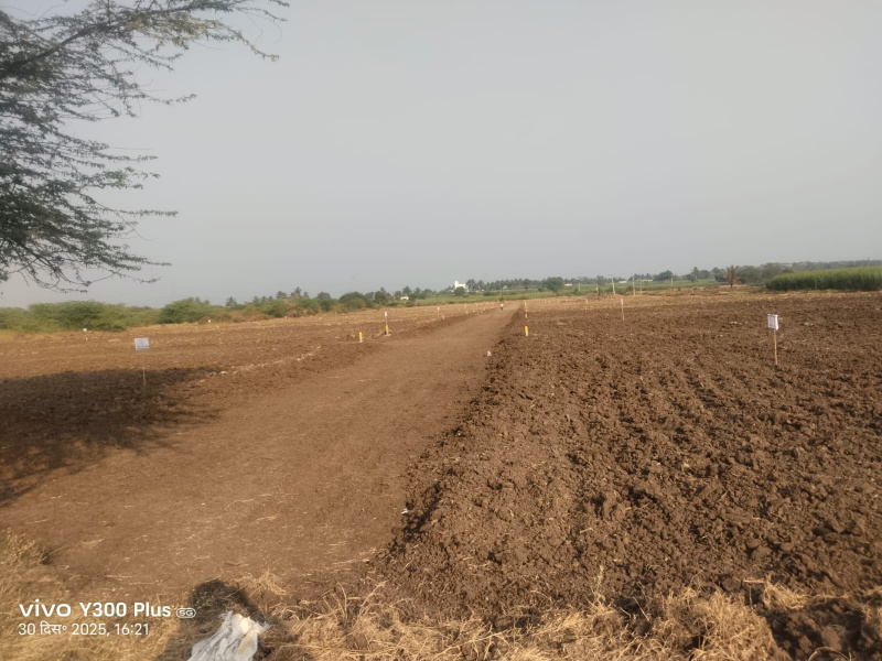  11000 Sq.ft. Residential Plot for Sale in Wagholi, Pune