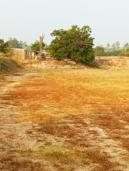  Agricultural Land for Sale in Mypadu Road, Nellore